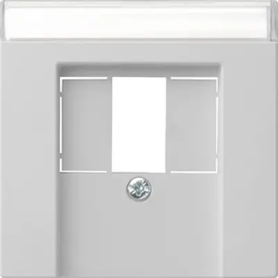 Gira Abdeckung für TAE und USB mit Beschriftungsfeld System 55 grau matt (0876015)