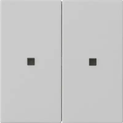 Gira wippe 2-fach unbedruckt Kontrollf. System 55 Grau m (5369015)