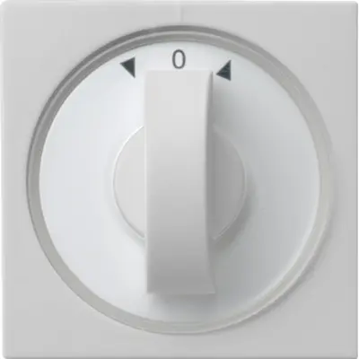 Gira Drehbedienaufsatz Jalousie- und Zeitschalter System 55 grau matt (0666015)