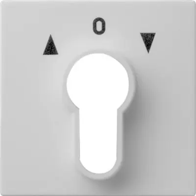 Gira abdeckung Schlüsselschalter/-taster System 55 Grau m (0664015)