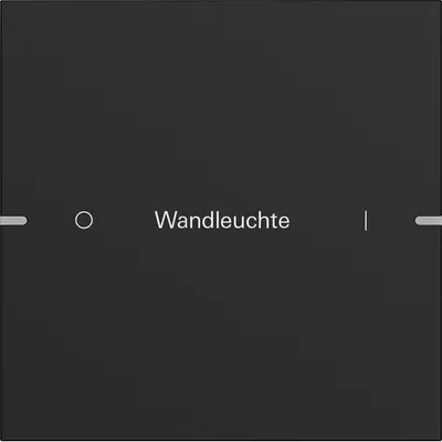 Gira wippenset 1-fach indiv. Tastsens.4 TS4 Schwarz m(lack.) (5031905)