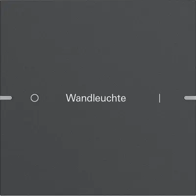 Gira wippenset 1-fach indiv. Tastsens.4 TS4 Anthrazit(lack.) (5031928)
