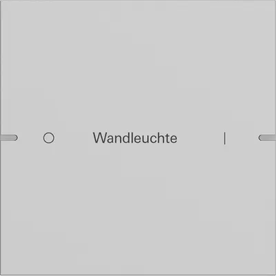 Gira wippenset 1-fach indiv. Tastsens.4 TS4 Grau m(lack.) (5031915)