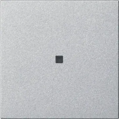 Gira Bluetooth bedienaufsatz System 3000 System 55 aluminium matt (536826)