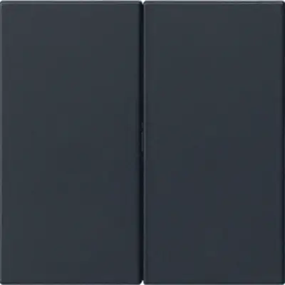 Gira 2-fach Ersatzwippe ohne Aufdruck für System 3000 Bedienaufsatz System 55 schwarz matt (5370005)