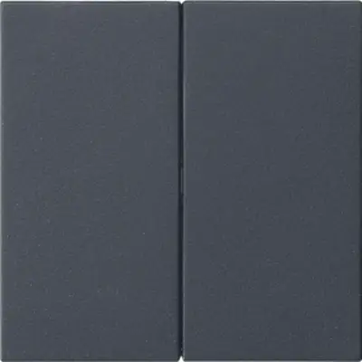 Gira 2-fach Ersatzwippe ohne Aufdruck für System 3000 Bedienaufsatz System 55 anthrazit matt (537028)