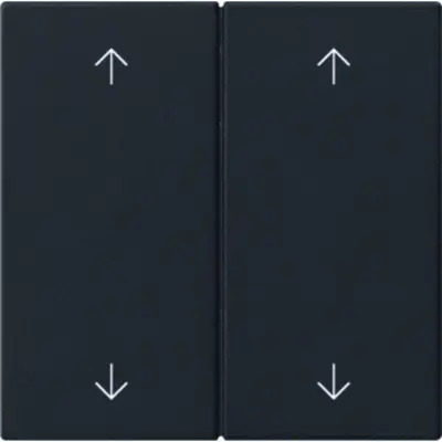 Gira 2-fach Ersatzwippe pfeilsymbole für System 3000 Bedienaufsatz System 55 schwarz matt (5387005)