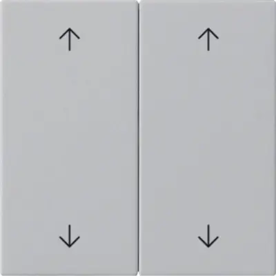 Gira 2-fach Ersatzwippe pfeilsymbole für System 3000 Bedienaufsatz System 55 grau matt (5387015)