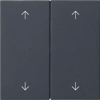 Gira 2-fach Ersatzwippe pfeilsymbole für System 3000 Bedienaufsatz System 55 schwarz matt (538728)