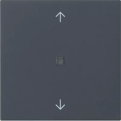 Gira Ersatzwippe Kontrollfenster pfeilsymbole für System 3000 Bedienaufsatz System 55 anthrazit matt (538828)