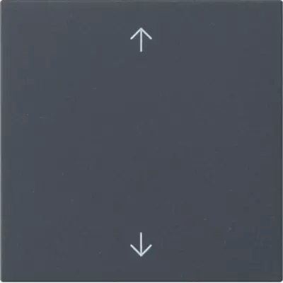 Gira Ersatzwippe pfeilsymbole für System 3000 Bedienaufsatz System 55 anthrazit matt (538928)