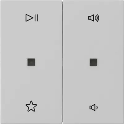 Gira wippe 2-fach Audiosteuerung System 55 grau matt (5384015)