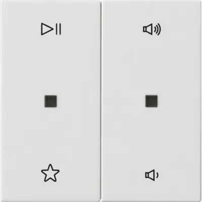 Gira wippe 2-fach Audiosteuerung System 55 weiß glänzend (538403)