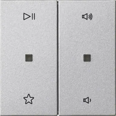 Gira wippe 2-fach Audiosteuerung System 55 aluminium matt (538426)