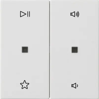 Gira wippe 2-fach Audiosteuerung System 55 weiß matt (538427)