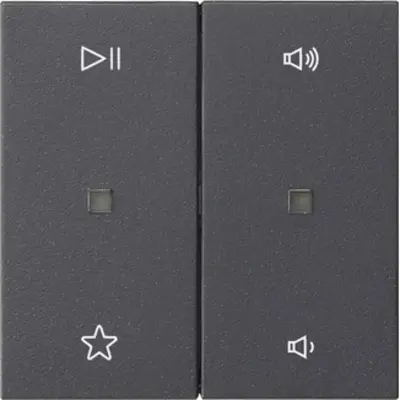 Gira wippe 2-fach Audiosteuerung System 55 anthrazit matt (538428)
