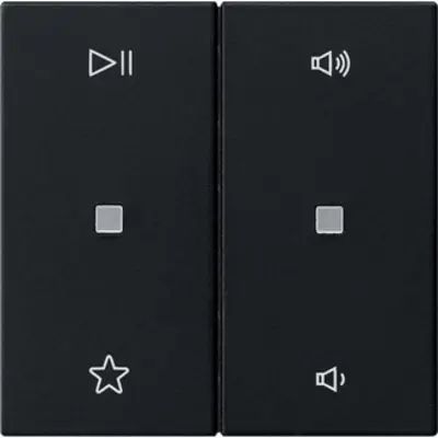 Gira wippe 2-fach Audiosteuerung System 55 schwarz matt (5384005)
