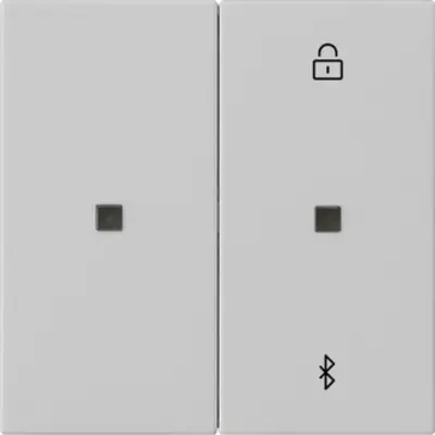 Gira Bluetooth bedienaufsatz System 3000 System 55 Grau matt (5381015)