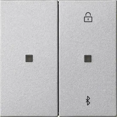 Gira System 3000 Bluetooth bedienaufsatz System 55 aluminium matt (538126)