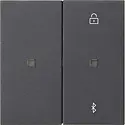 Gira Bluetooth bedienaufsatz System 3000 System 55 anthrazit matt (538128)