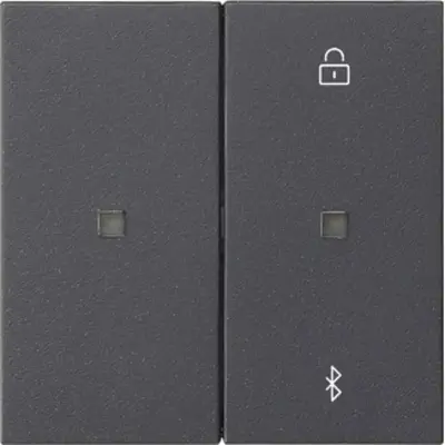 Gira System 3000 Bluetooth bedienaufsatz System 55 anthrazit matt (538128)