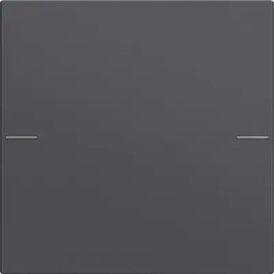 Gira Wippenset 1f Tastsens.4 System 55 Anthrazit (575128)