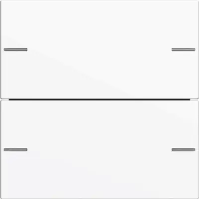 Gira Wippenset 2f Tastsens.4 System 55 Reinweiß (575203)