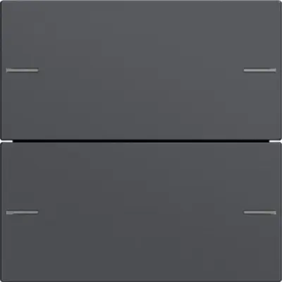 Gira Wippenset 2f Tastsens.4 System 55 Anthrazit (575228)