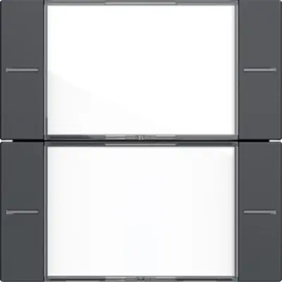 Gira Wippenset 2f BSF Tastsens.4 System 55 Klar/Anthrazit (577228)