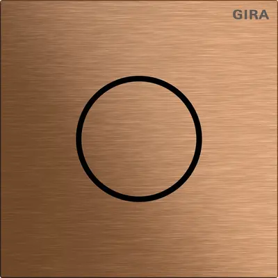 Gira Sprachmodul System 106 Bronze (5563921)