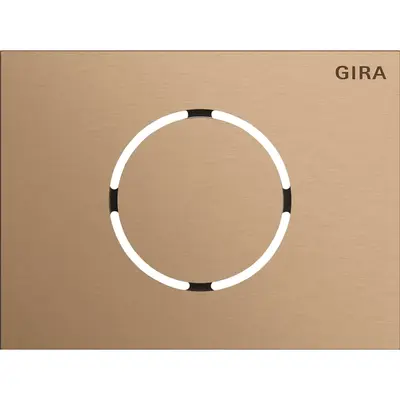 Gira Frontpl. Türstationsmodul System 106 Bronze (5579921)