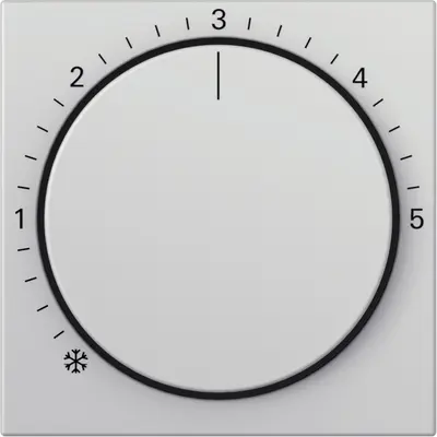 Gira Abdeckung für Raumtemperaturregler System 55 Grau matt (2706015)
