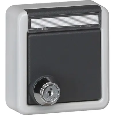 Gira Schuko-Steckdose Klappdeckel Schloss Beschriftungsfeld Aufputz IP44 (456735)