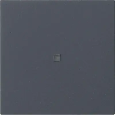 Gira eNet Funk Bedienaufsatz System 55 Anthrazit (549528)