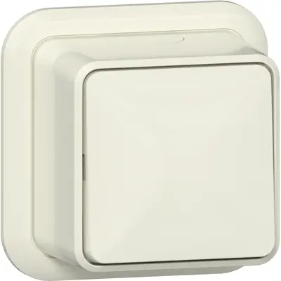 Gira Schalter 2-polig Aufputz creme (310210)