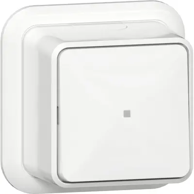 Gira Taster wechsler 1-polig mit Kontrollfenster Aufputz weiß (315611)