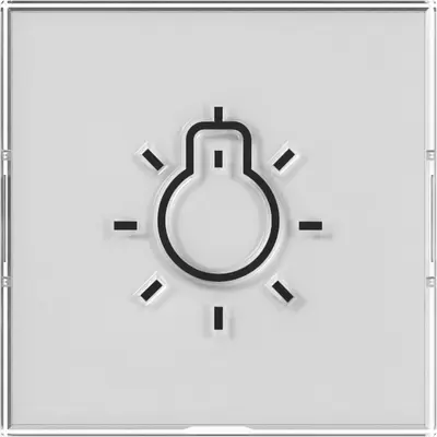 Gira Wippe farbneutral mit großem Beschriftungsfeld und großem abtastbaren Symbol Licht (321600)
