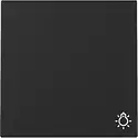 Gira Wippe mit Symbol Licht System 55 schwarz matt (3285005)