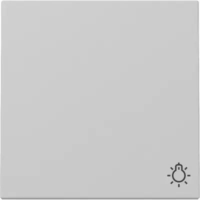 Gira Wippe mit Symbol Licht System 55 grau matt (3285015)