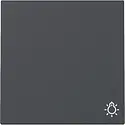 Gira Wippe mit Symbol Licht System 55 anthrazit matt (328528)