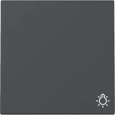 Gira Wippe mit Symbol Licht System 55 anthrazit matt (328528)