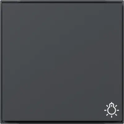 Gira Wippe mit Symbol Licht TX44 anthrazit (328567)