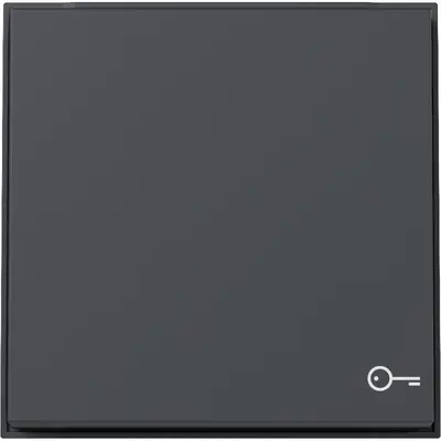 Gira Wippe mit Symbol Tür TX44 antraciet (328767)