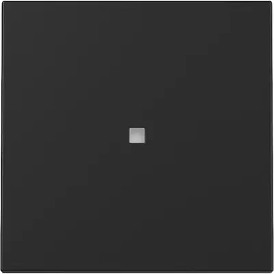 Gira Wippe mit Kontrollfenster System 55 schwarz matt (3290005)