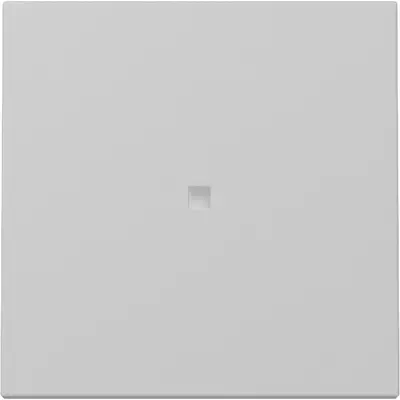 Gira Wippe mit Kontrollfenster System 55 grau matt (3290015)