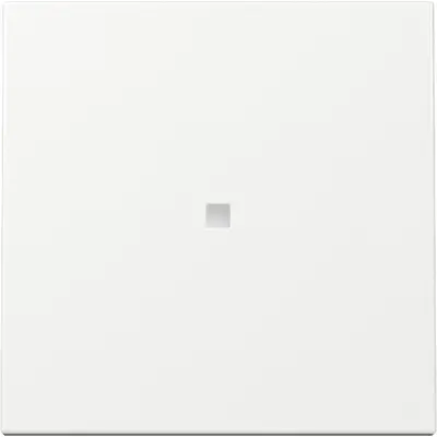 Gira Wippe mit Kontrollfenster System 55 weiß glänzend (329003)