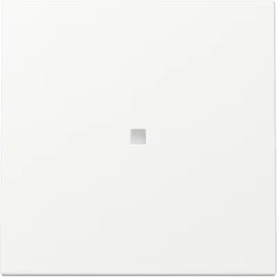 Gira Wippe mit Kontrollfenster System 55 weiß matt (329027)