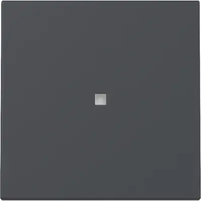 Gira Wippe mit Kontrollfenster System 55 anthrazit matt (329028)