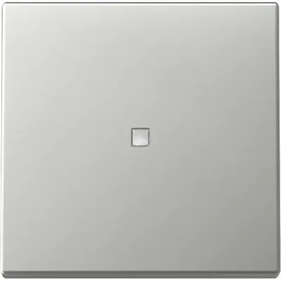 Gira Wippe mit Kontrollfenster System 55 edelstahl (3290600)