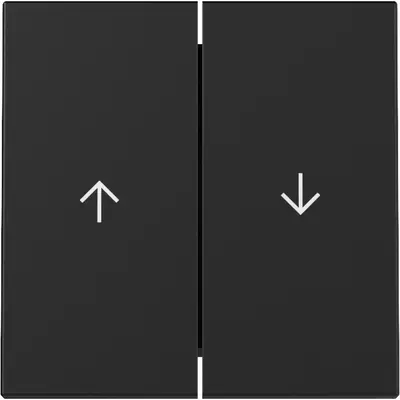 Gira Wippe Jalousieschalter 2fach System 55 schwarz matt (3294005)